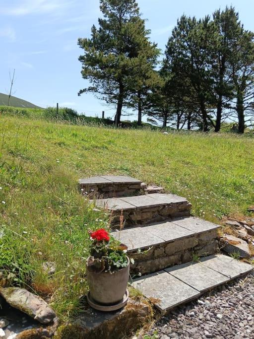 Dingle Escape -2 Bed -Sleeps 4 Apartamento Exterior foto